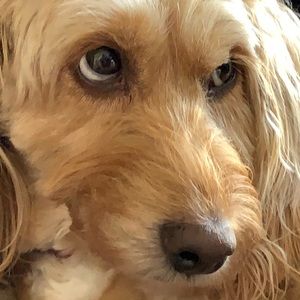 Meet your Posher, Jane